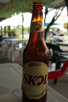 SKOL